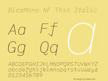 Blex Mono Thin Italic Nerd Font Complete Mono Windows Compatible Version 2.000 Font Sample