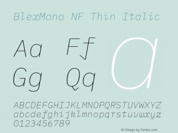 Blex Mono Thin Italic Nerd Font Complete Windows Compatible Version 2.000 Font Sample