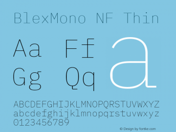 Blex Mono Thin Nerd Font Complete Windows Compatible Version 2.000 Font Sample