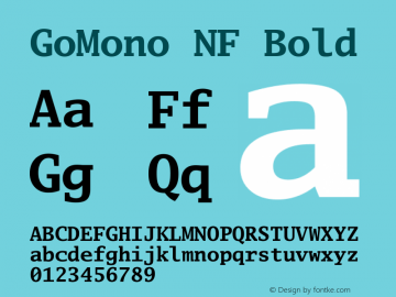 Go Mono Bold Nerd Font Complete Windows Compatible Version 2.008; ttfautohint (v1.6)图片样张