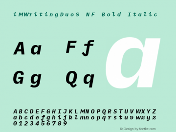 iM Writing Duo S Bold Italic Nerd Font Complete Mono Windows Compatible Version 2.000图片样张