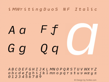 iM Writing Duo S Italic Nerd Font Complete Mono Windows Compatible Version 2.000图片样张