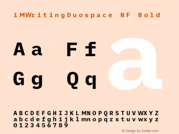 iM Writing Duospace Bold Nerd Font Complete Mono Windows Compatible Version 1.005图片样张