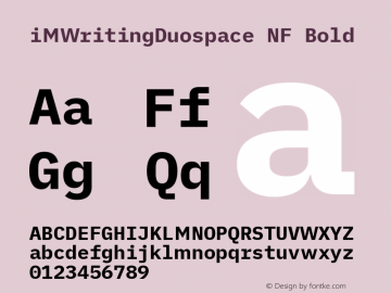 iM Writing Duospace Bold Nerd Font Complete Windows Compatible Version 1.005 Font Sample