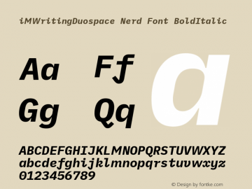 iM Writing Duospace BoldItalic Nerd Font Complete Version 1.005 Font Sample