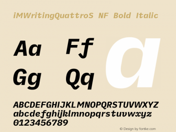 iM Writing Quattro S Bold Italic Nerd Font Complete Windows Compatible Version 2.000 Font Sample