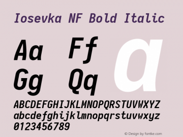 Iosevka Bold Italic Nerd Font Complete Windows Compatible 2.1.0; ttfautohint (v1.8.2) Font Sample