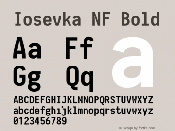 Iosevka Bold Nerd Font Complete Mono Windows Compatible 2.1.0; ttfautohint (v1.8.2) Font Sample