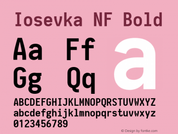 Iosevka Bold Nerd Font Complete Windows Compatible 2.1.0; ttfautohint (v1.8.2) Font Sample