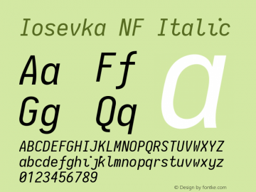 Iosevka Italic Nerd Font Complete Mono Windows Compatible 2.1.0; ttfautohint (v1.8.2)图片样张