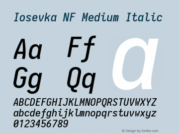 Iosevka Medium Italic Nerd Font Complete Windows Compatible 2.1.0; ttfautohint (v1.8.2)图片样张