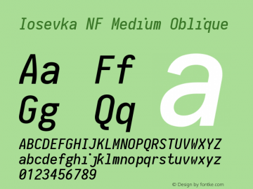 Iosevka Medium Oblique Nerd Font Complete Mono Windows Compatible 2.1.0; ttfautohint (v1.8.2)图片样张