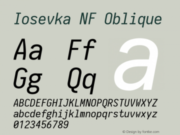 Iosevka Oblique Nerd Font Complete Windows Compatible 2.1.0; ttfautohint (v1.8.2)图片样张