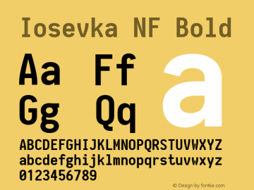 Iosevka Term Bold Nerd Font Complete Windows Compatible 2.1.0; ttfautohint (v1.8.2)图片样张