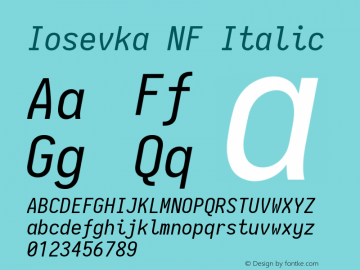 Iosevka Term Italic Nerd Font Complete Windows Compatible 2.1.0; ttfautohint (v1.8.2) Font Sample