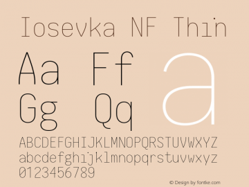 Iosevka Term Thin Nerd Font Complete Mono Windows Compatible 2.1.0; ttfautohint (v1.8.2)图片样张