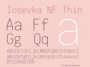 Iosevka Term Thin Nerd Font Complete Windows Compatible 2.1.0; ttfautohint (v1.8.2) Font Sample