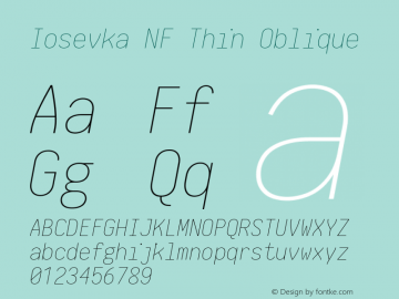 Iosevka Term Thin Oblique Nerd Font Complete Mono Windows Compatible 2.1.0; ttfautohint (v1.8.2)图片样张
