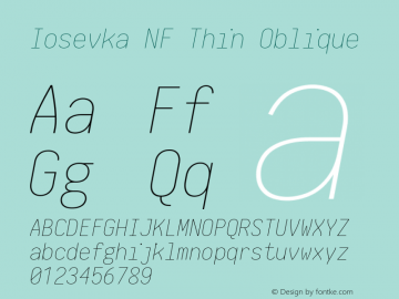 Iosevka Term Thin Oblique Nerd Font Complete Mono Windows Compatible 2.1.0; ttfautohint (v1.8.2) Font Sample