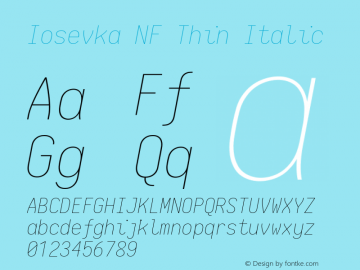 Iosevka Thin Italic Nerd Font Complete Mono Windows Compatible 2.1.0; ttfautohint (v1.8.2)图片样张