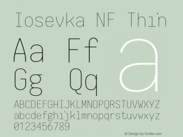 Iosevka Thin Nerd Font Complete Mono Windows Compatible 2.1.0; ttfautohint (v1.8.2) Font Sample