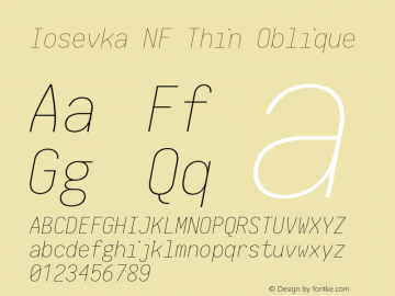 Iosevka Thin Oblique Nerd Font Complete Mono Windows Compatible 2.1.0; ttfautohint (v1.8.2) Font Sample