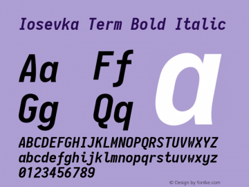 Iosevka Term Bold Italic 2.1.0; ttfautohint (v1.8.2)图片样张