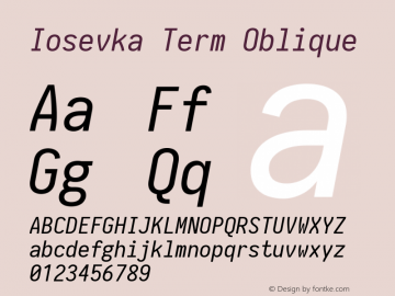 Iosevka Term Oblique 2.1.0; ttfautohint (v1.8.2)图片样张