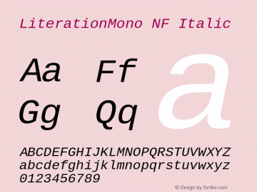 Literation Mono Italic Nerd Font Complete Mono Windows Compatible Version 2.00.5图片样张