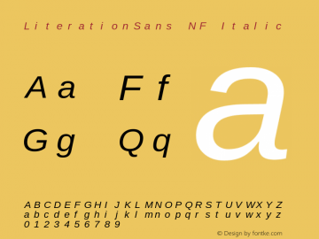 Literation Sans Italic Nerd Font Complete Mono Windows Compatible Version 2.00.5图片样张