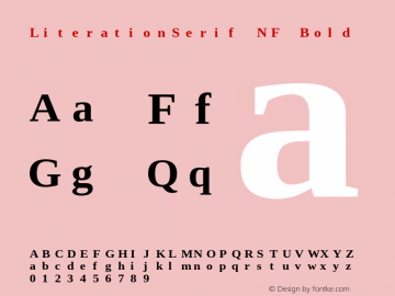Literation Serif Bold Nerd Font Complete Mono Windows Compatible Version 2.00.5 Font Sample