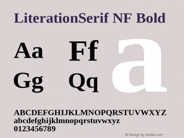 Literation Serif Bold Nerd Font Complete Windows Compatible Version 2.00.5 Font Sample