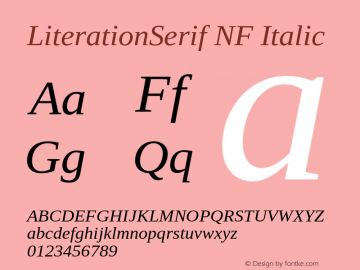 Literation Serif Italic Nerd Font Complete Windows Compatible Version 2.00.5 Font Sample