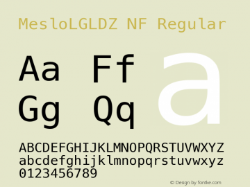 Meslo LG L DZ Regular Nerd Font Complete Mono Windows Compatible 1.210图片样张