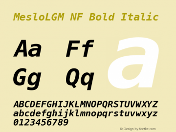 Meslo LG M Bold Italic Nerd Font Complete Mono Windows Compatible 1.210图片样张