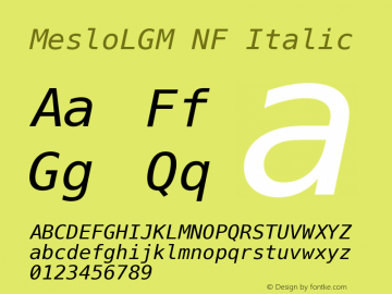 Meslo LG M Italic Nerd Font Complete Mono Windows Compatible 1.210图片样张