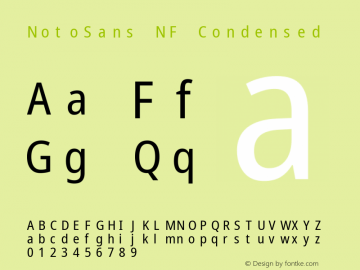 Noto Sans Condensed Nerd Font Complete Mono Windows Compatible Version 2.000;GOOG;noto-source:20170915:90ef993387c0; ttfautohint (v1.7)图片样张