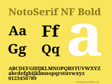 Noto Serif Bold Nerd Font Complete Windows Compatible Version 2.000;GOOG;noto-source:20170915:90ef993387c0; ttfautohint (v1.7) Font Sample