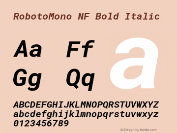 Roboto Mono Bold Italic Nerd Font Complete Windows Compatible Version 2.000986; 2015; ttfautohint (v1.3)图片样张