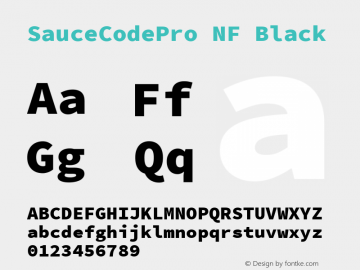 Sauce Code Pro Black Nerd Font Complete Mono Windows Compatible Version 2.010;PS 1.000;hotconv 1.0.84;makeotf.lib2.5.63406 Font Sample