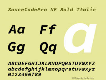 Sauce Code Pro Bold Italic Nerd Font Complete Windows Compatible Version 1.050;PS 1.000;hotconv 16.6.51;makeotf.lib2.5.65220 Font Sample