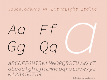 Sauce Code Pro ExtraLight Italic Nerd Font Complete Mono Windows Compatible Version 1.050;PS 1.000;hotconv 16.6.51;makeotf.lib2.5.65220 Font Sample