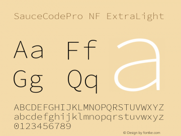 Sauce Code Pro ExtraLight Nerd Font Complete Windows Compatible Version 2.010;PS 1.000;hotconv 1.0.84;makeotf.lib2.5.63406 Font Sample