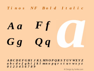 Tinos Bold Italic Nerd Font Complete Mono Windows Compatible Version 1.23 Font Sample