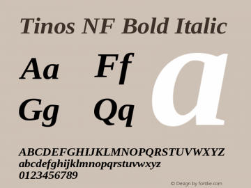 Tinos Bold Italic Nerd Font Complete Windows Compatible Version 1.23图片样张