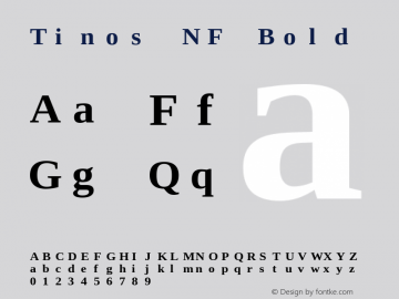 Tinos Bold Nerd Font Complete Mono Windows Compatible Version 1.23 Font Sample