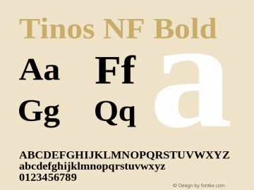Tinos Bold Nerd Font Complete Windows Compatible Version 1.23图片样张