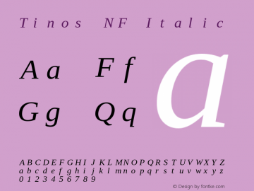 Tinos Italic Nerd Font Complete Mono Windows Compatible Version 1.23图片样张