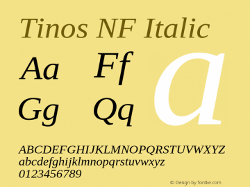 Tinos Italic Nerd Font Complete Windows Compatible Version 1.23 Font Sample