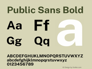 Public Sans Bold Version 1.007 Font Sample